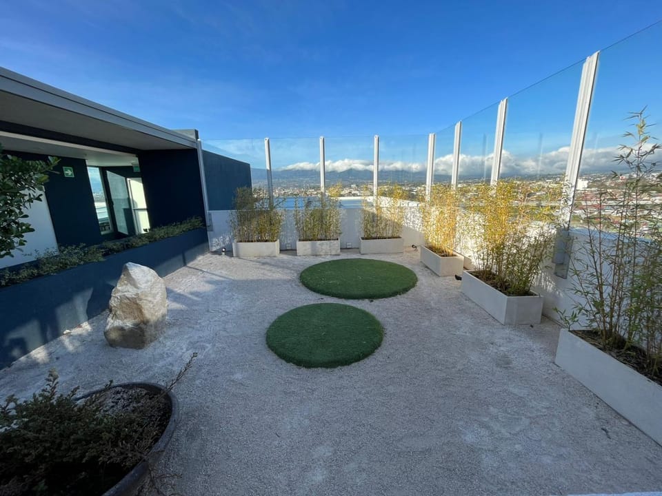 Day, Natural landscape, Garden