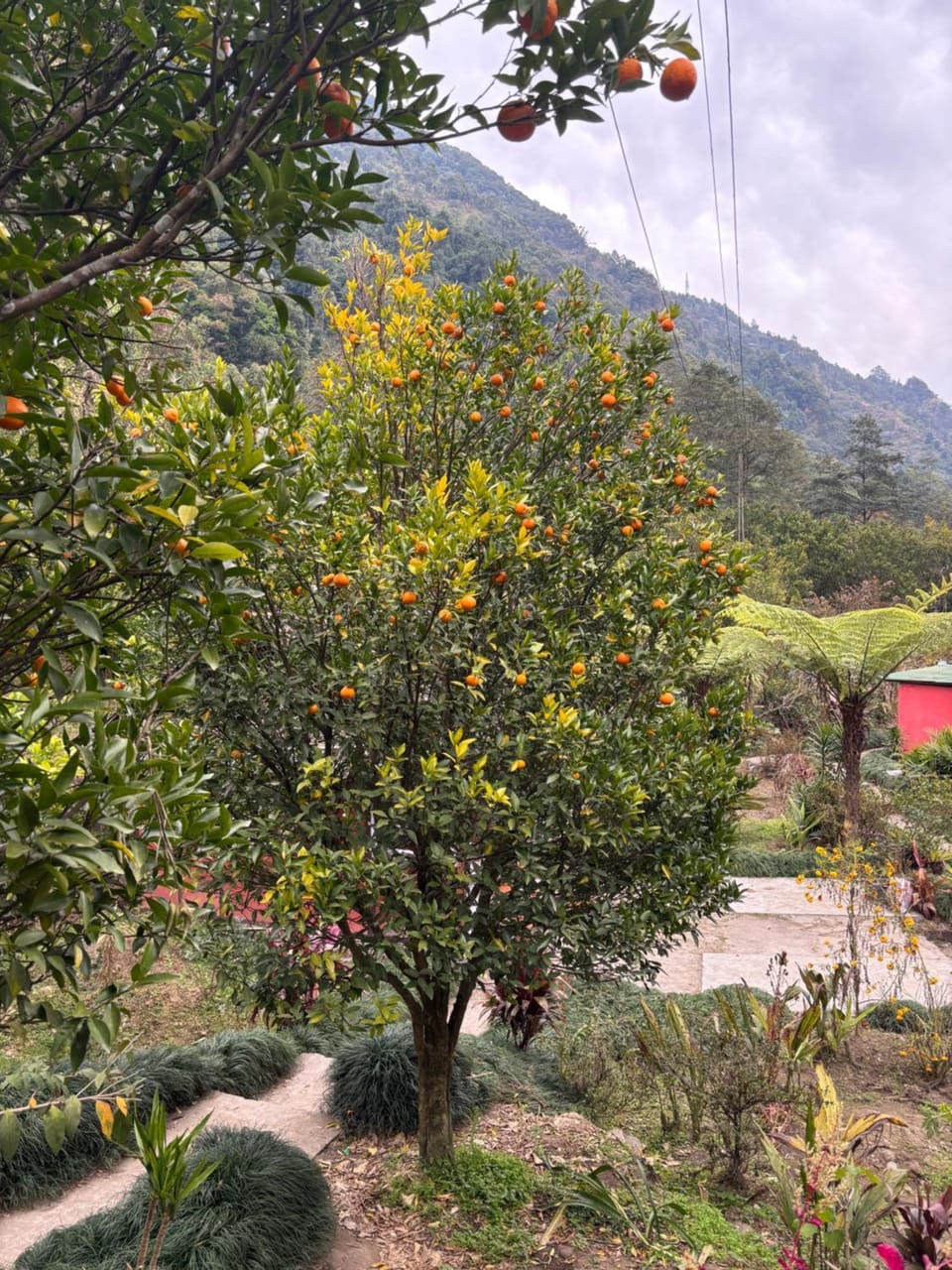 Odyssey Stays Rimbi Vacation rental in India