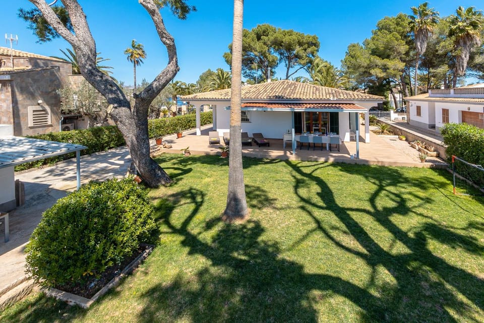 Patio, Garden, Garden view