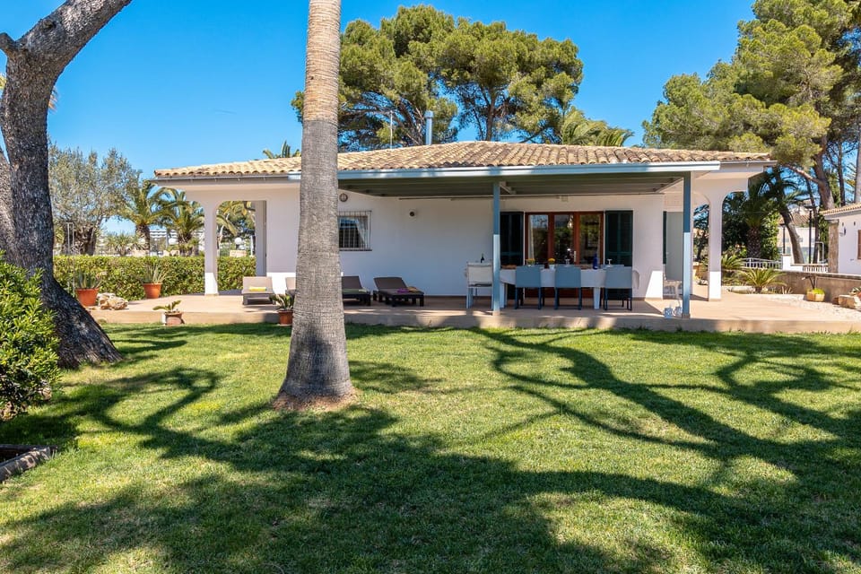 Patio, Garden, Garden view