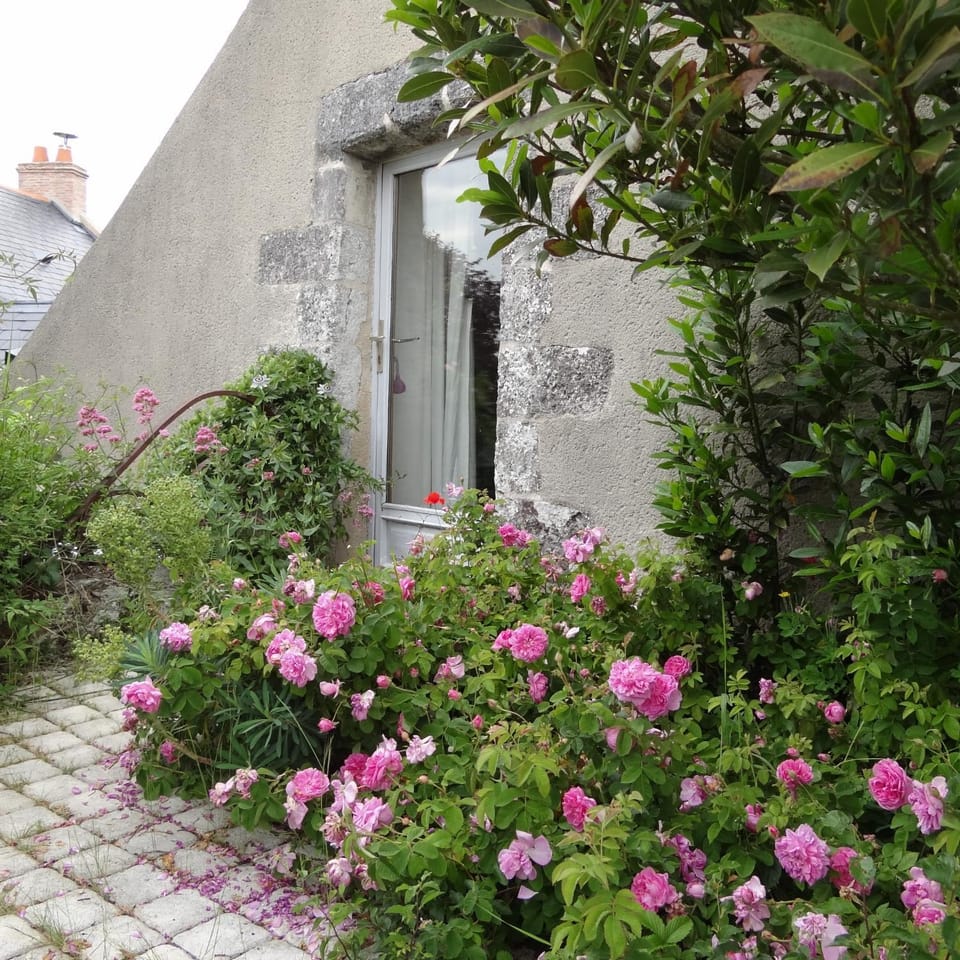 Facade/entrance, Garden