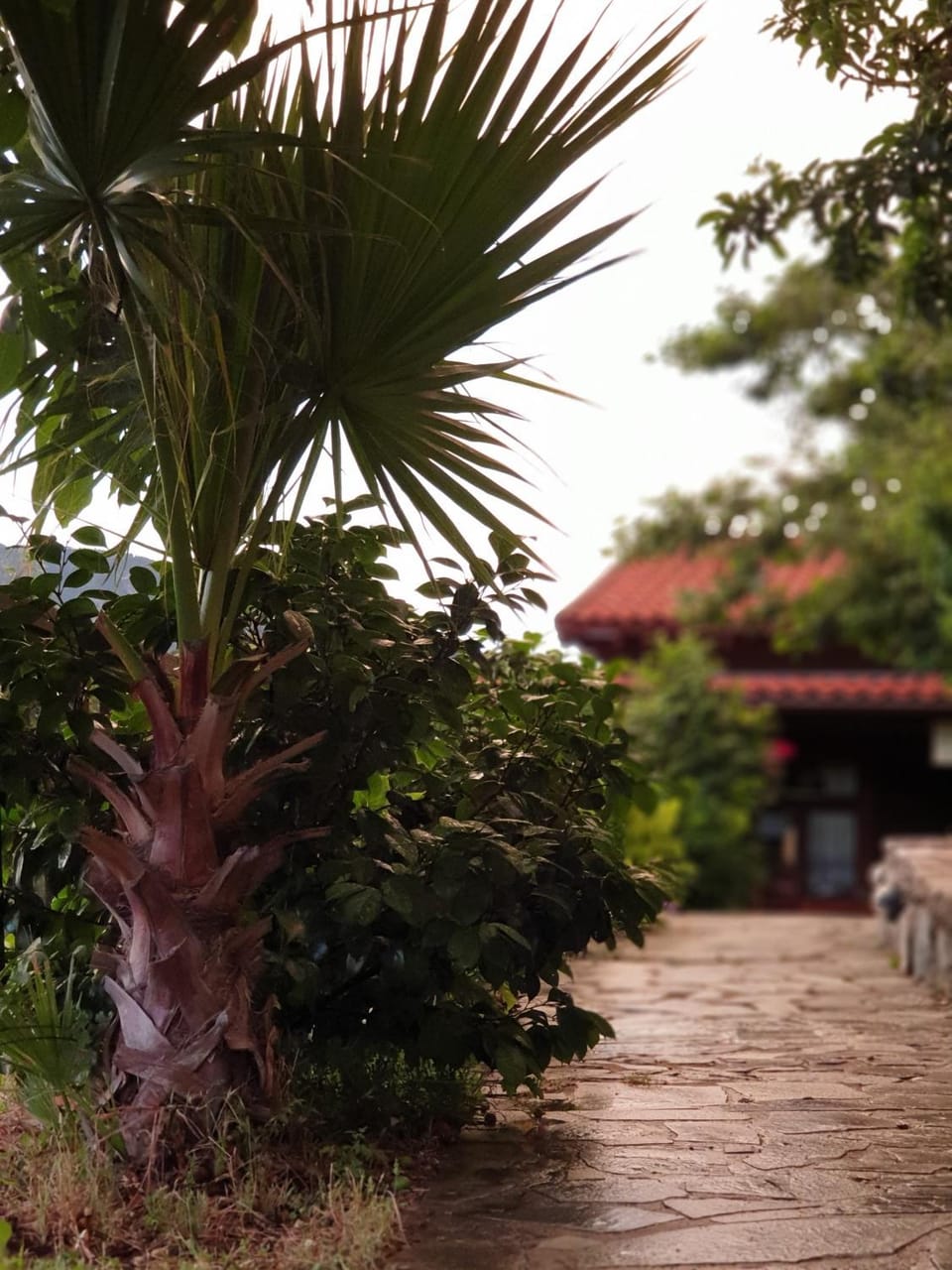 Garden view