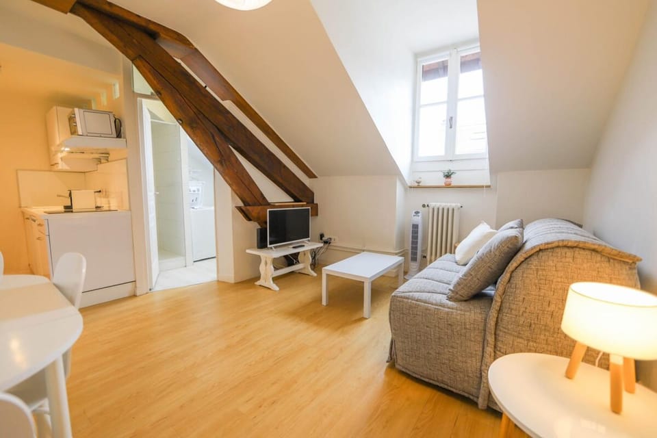 Le Sommeiller - hyper centre avec garage Apartment in Annecy