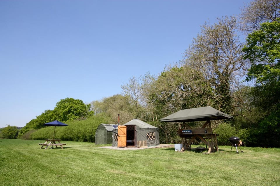 Kitchen or kitchenette, Garden view