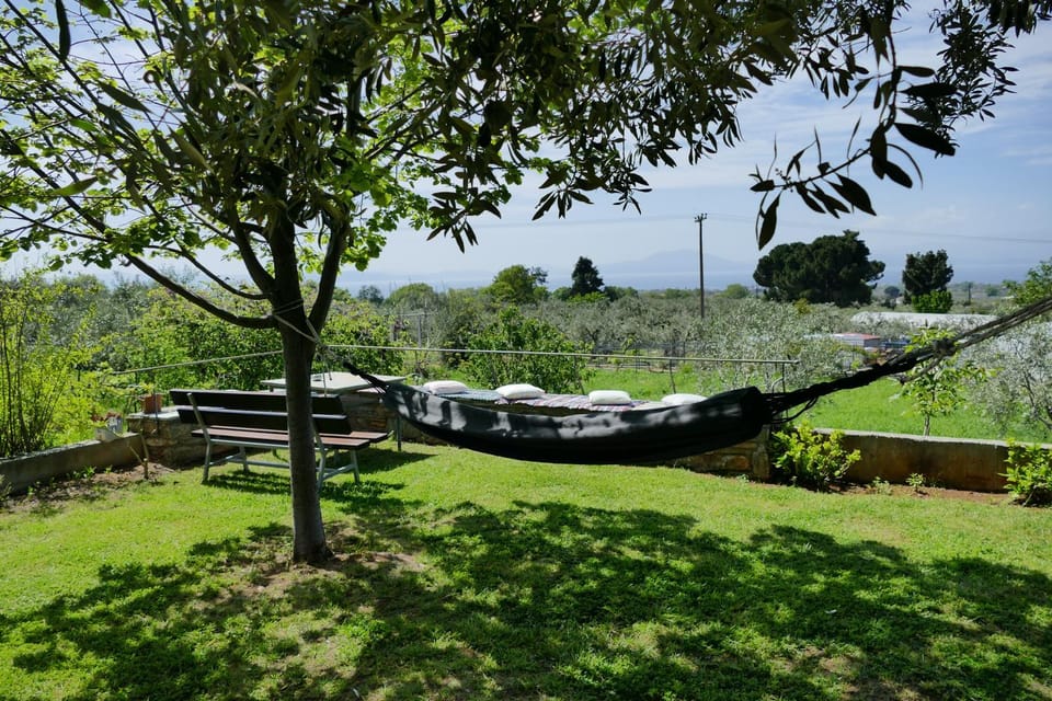 Garden, View (from property/room), Landmark view, Mountain view, Sea view