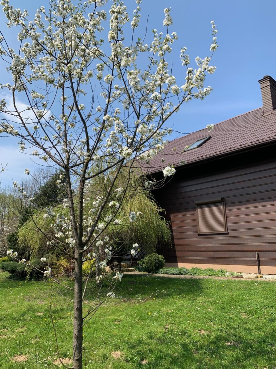 BESKIDIUM - uroczy dom Brenna House in Poland