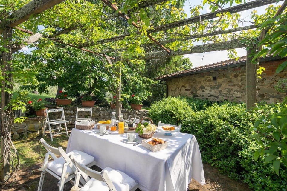 Patio, Garden, Dining area
