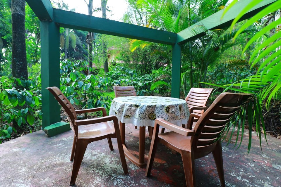 Patio, Spring, Day, Natural landscape, Garden, Seating area, Dining area, Garden view