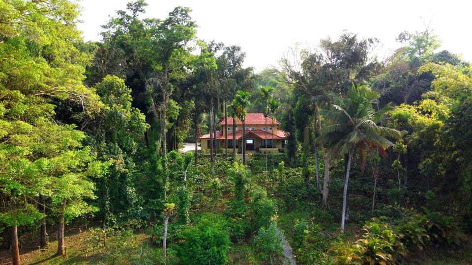 Spring, Day, Natural landscape, Garden, View (from property/room), Garden view