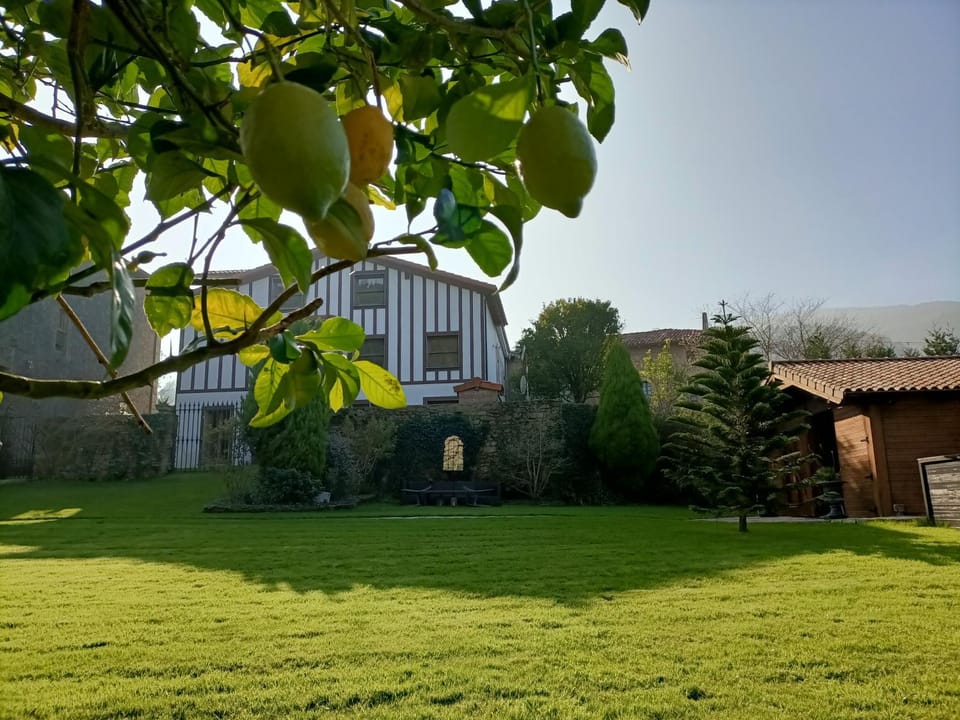 Property building, Natural landscape, Garden, Garden view