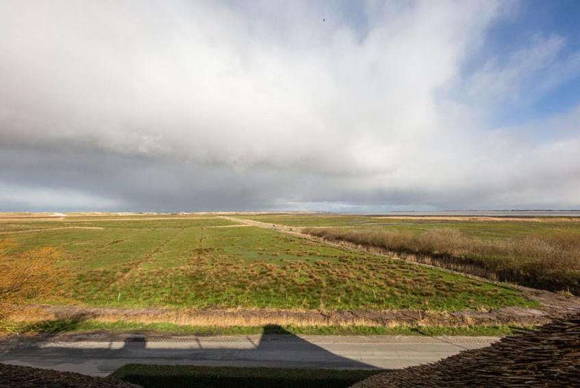 Neighbourhood, Natural landscape