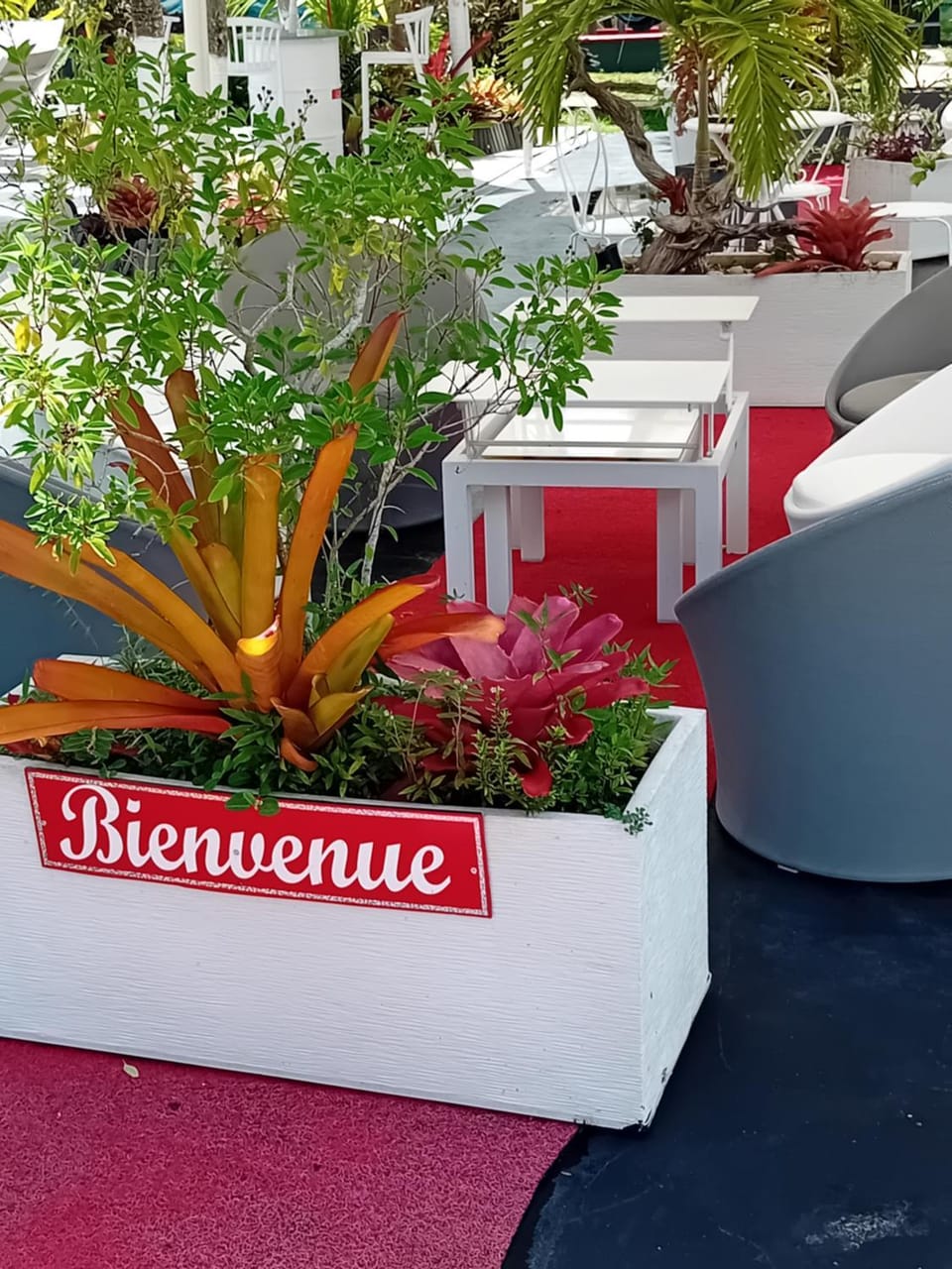La Sainte Rosienne pomme cannelle House in Leeward Islands