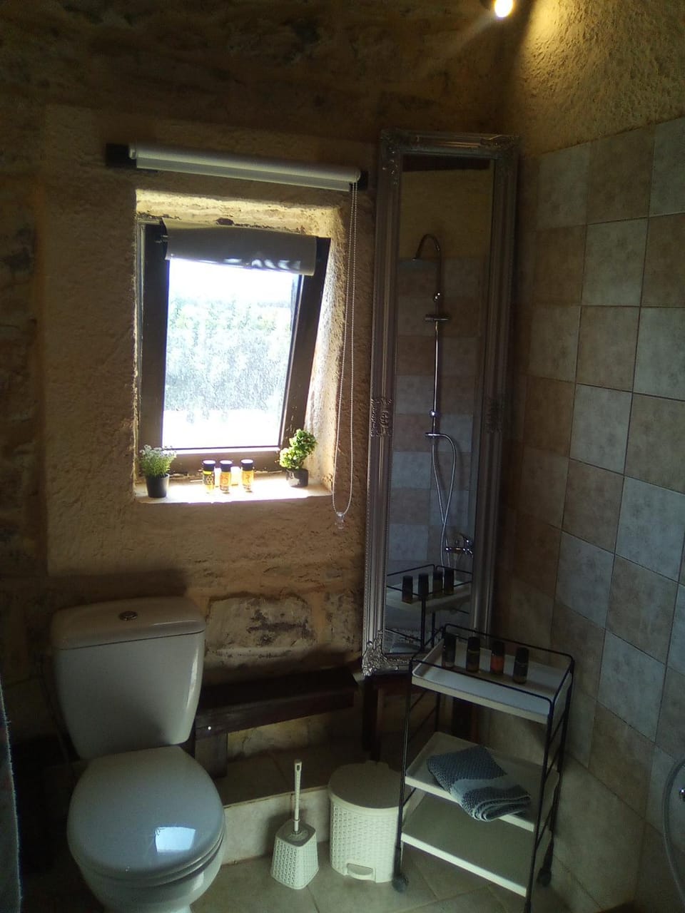 Shower, Toilet, Bathroom