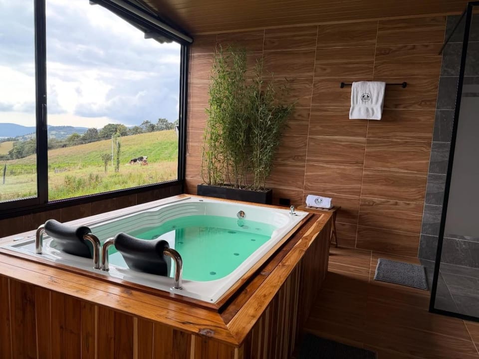 Natural landscape, Hot Tub, Bathroom