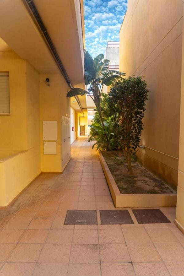Seaside Breeze Terrace in Caños de Meca Apartment in La Janda