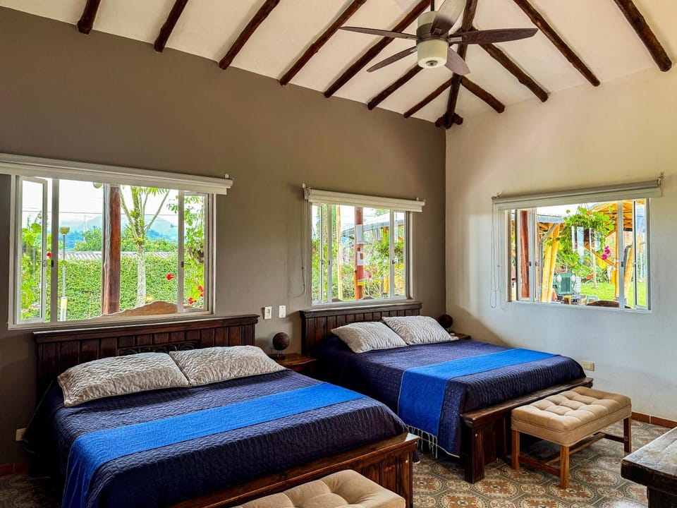 Bed, TV and multimedia, Living room, Photo of the whole room, Decorative detail, Seating area, Bedroom, Garden view, furniture, internet, safe, towels