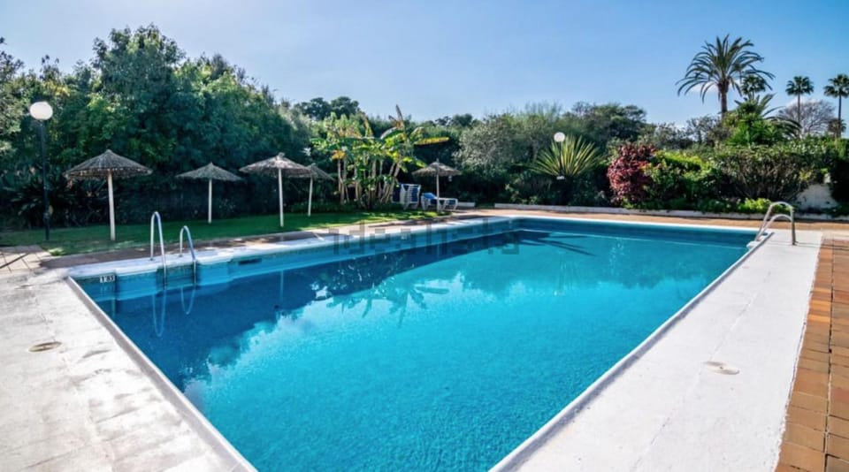 Day, Garden, Garden view, Pool view, Swimming pool, sunbed
