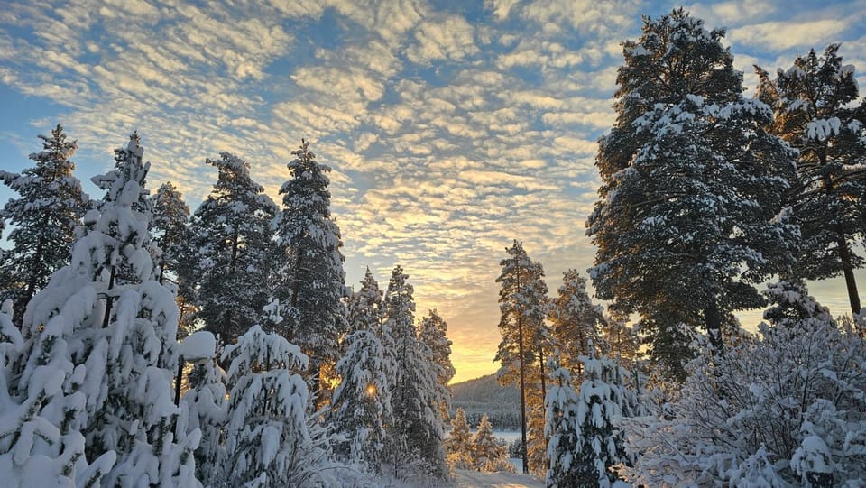 Fiskecamp Rusksele Nature lodge in Sweden