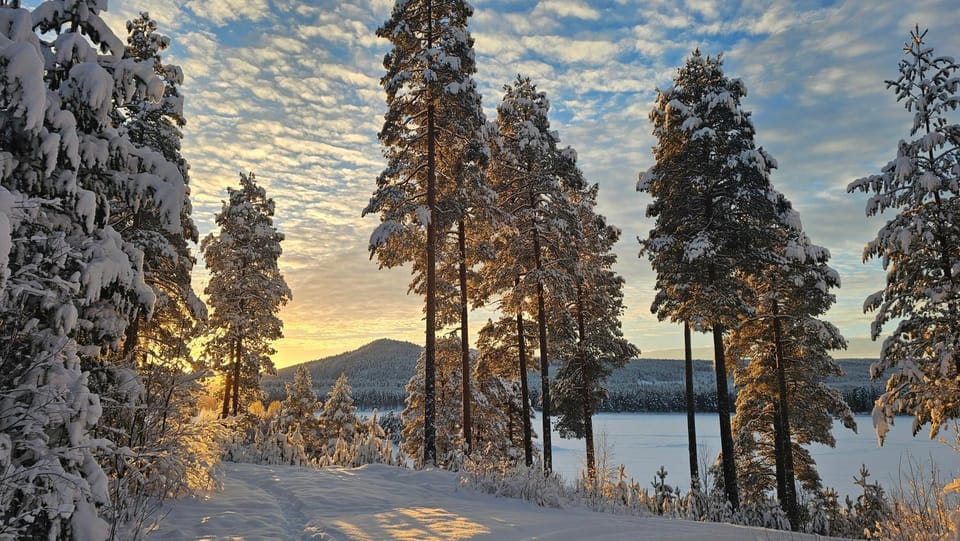 Fiskecamp Rusksele Nature lodge in Sweden