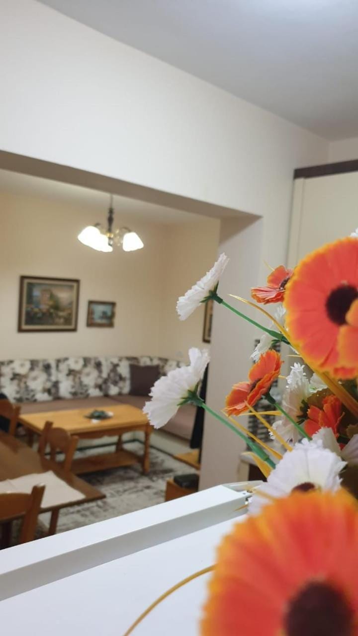 Valentina's Apartment Apartment in Tirana