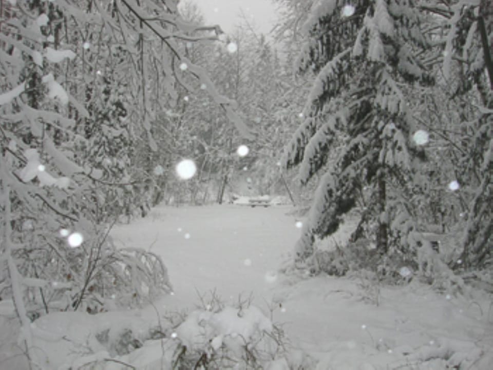 River Dance Retreat - Meredith Lodging House in Mount Hood Village