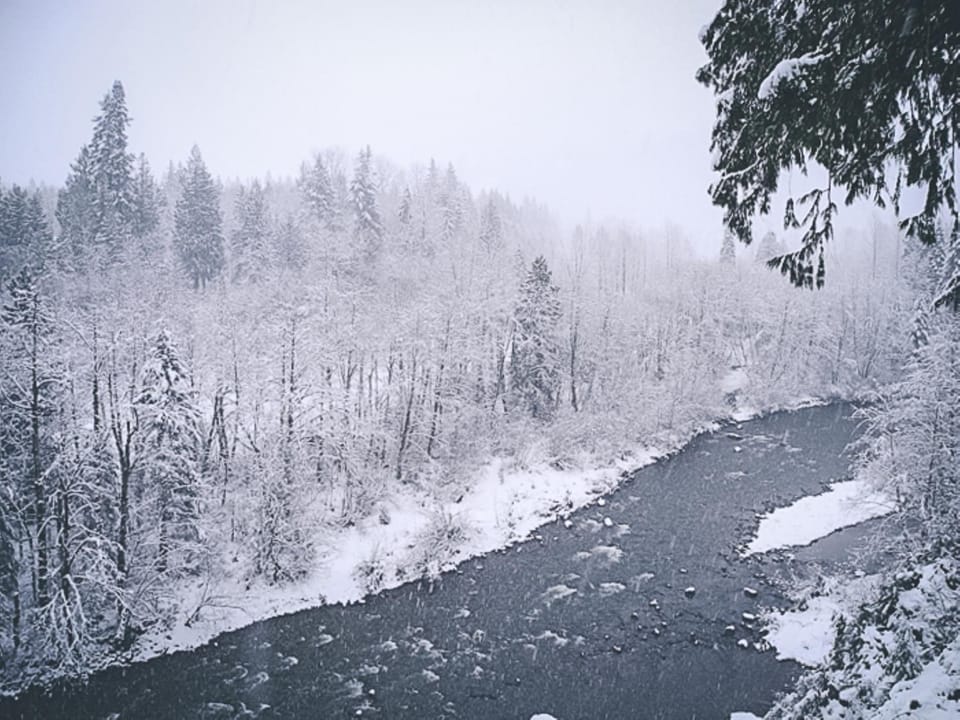 Crystal Creek Chalet - Meredith Lodging House in Welches