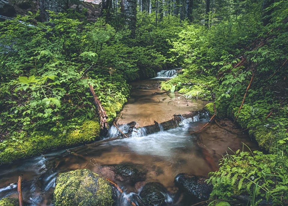 Chalet am Berg - Meredith Lodging House in Clackamas County