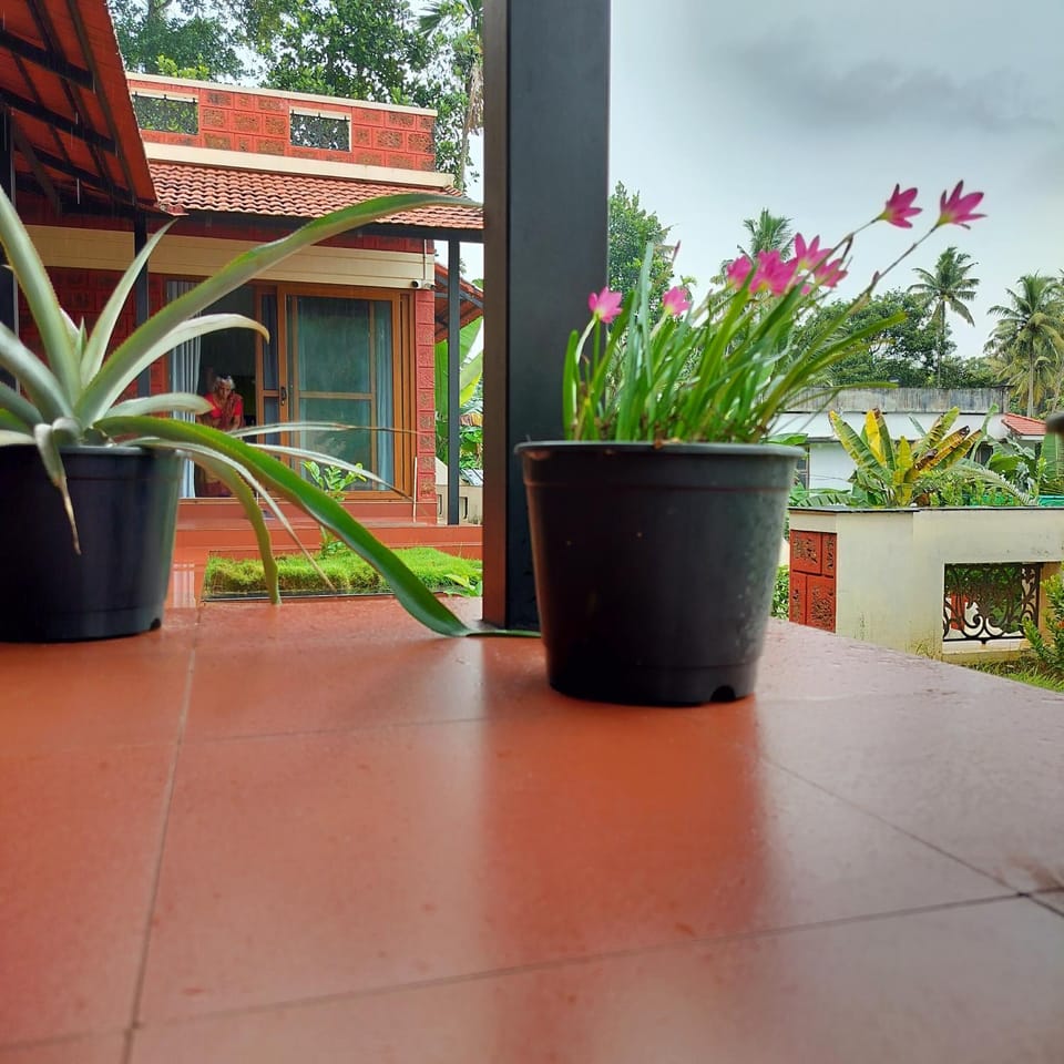 Property building, Patio, Day, Garden, View (from property/room), Balcony/Terrace, Garden view