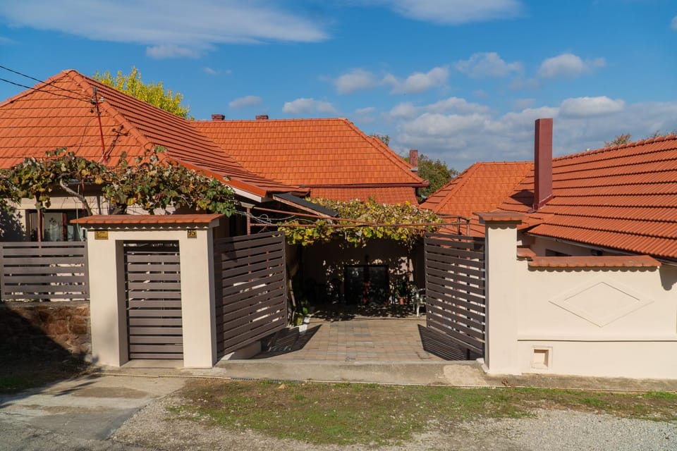 Casa Titiana Suncuius House in Romania