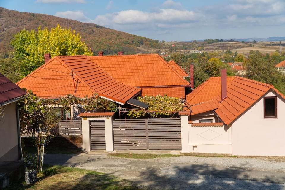 Casa Titiana Suncuius House in Romania