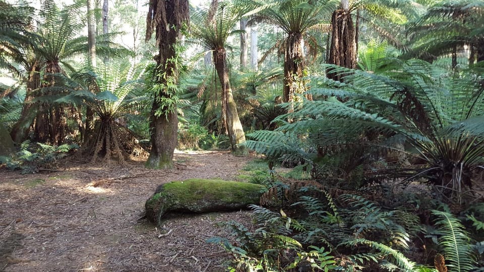 Natural landscape, Hiking, Hiking