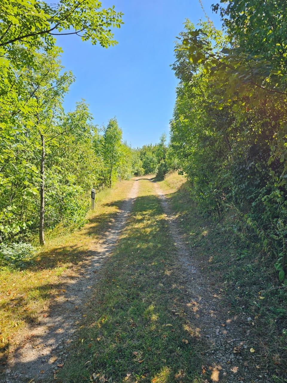Neighbourhood, Natural landscape