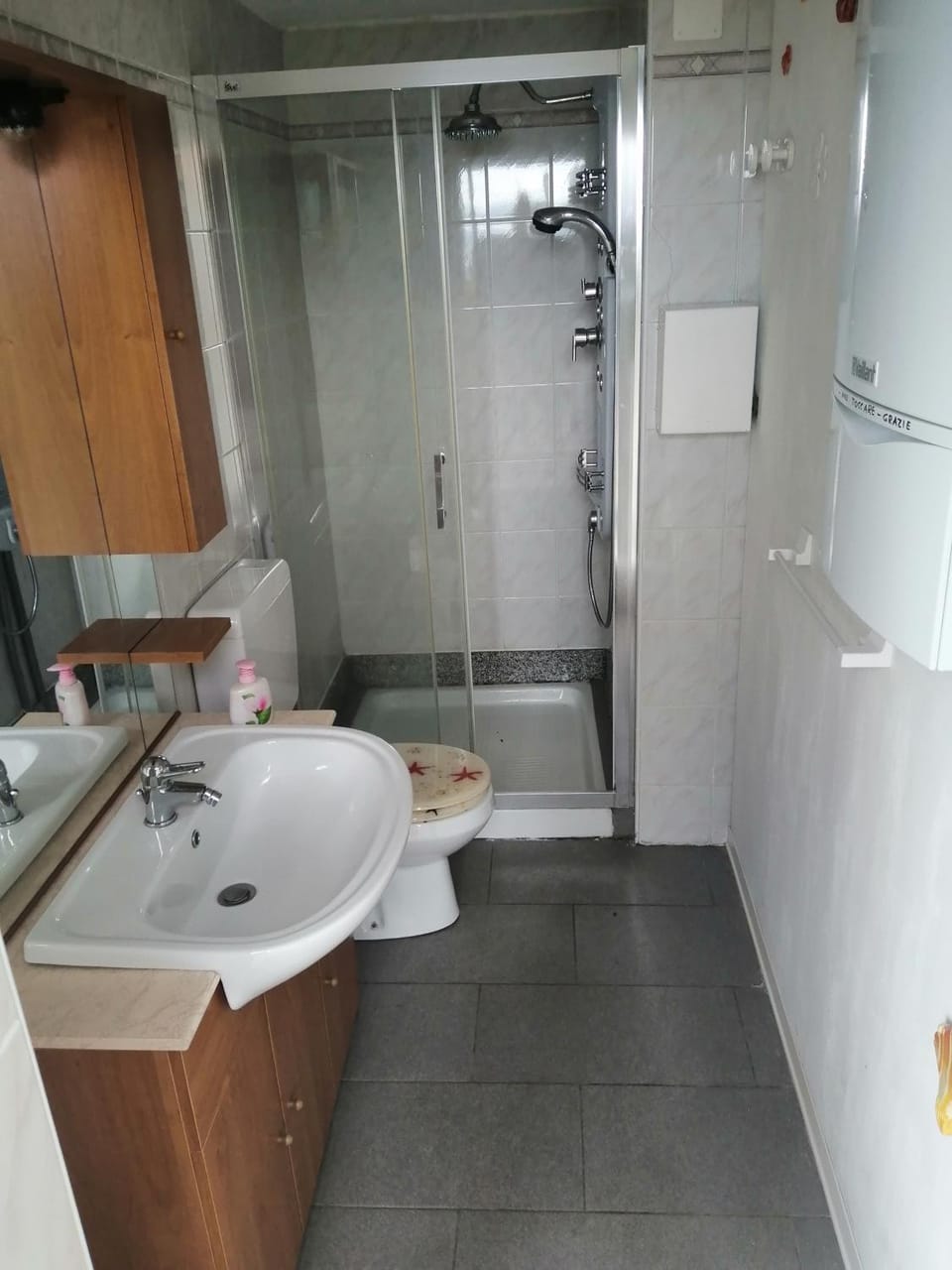 LIMONE Apartment in Canton of Ticino