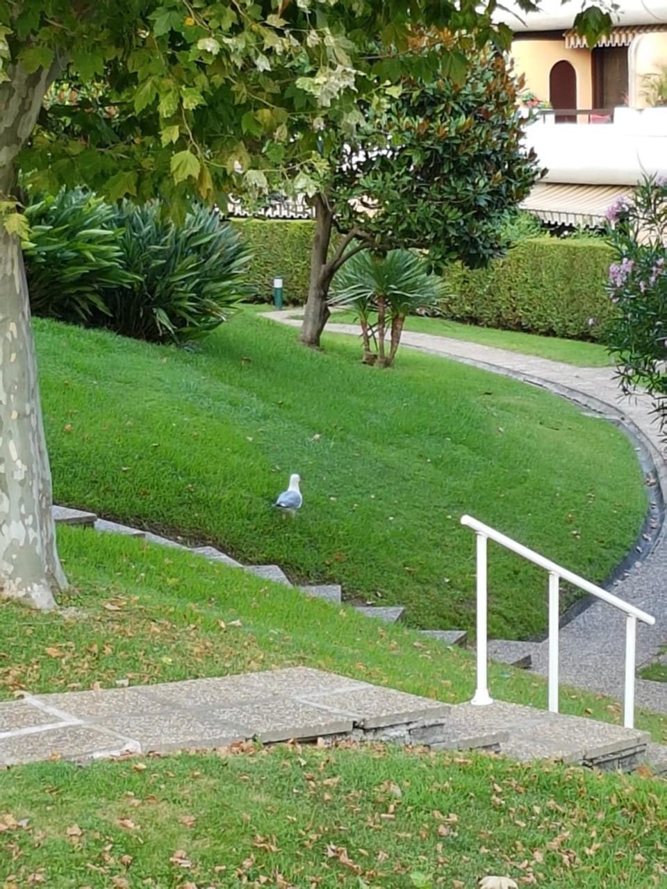 Natural landscape, Garden, Garden