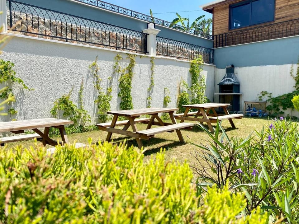Patio, Garden, Garden view