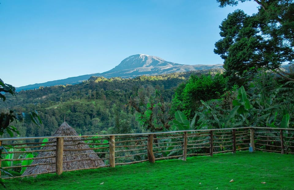 Natural landscape, Garden