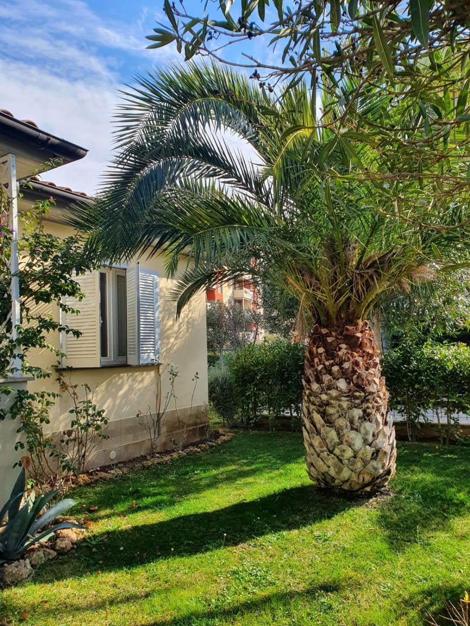 Garden view