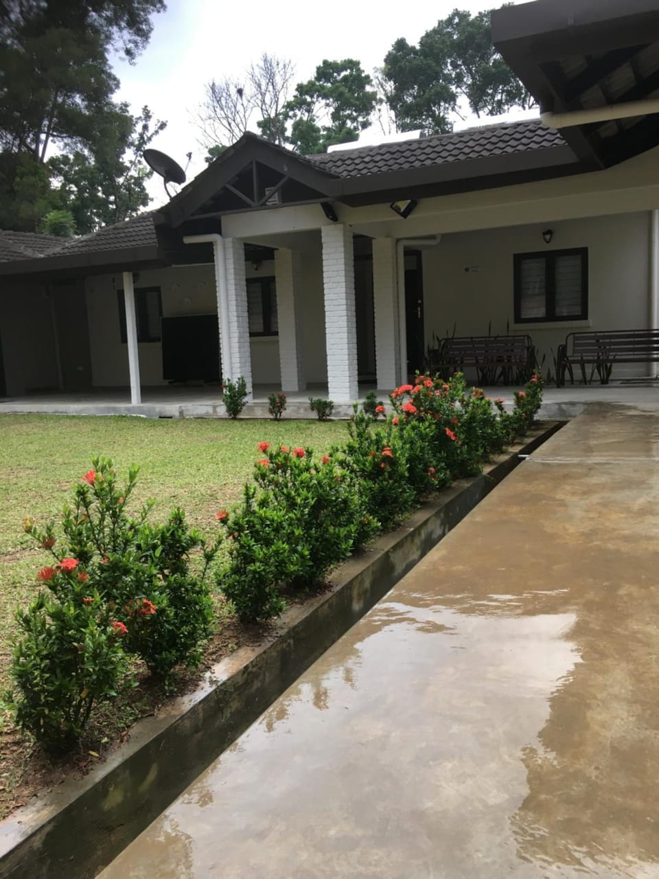 Garden view