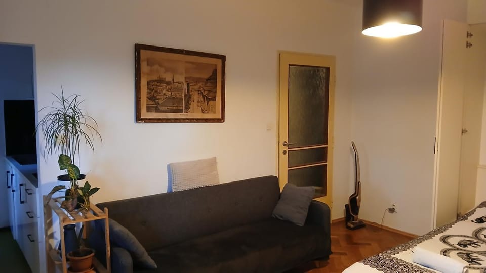 Cozy studio in the City centre near train station Apartment in Bratislava