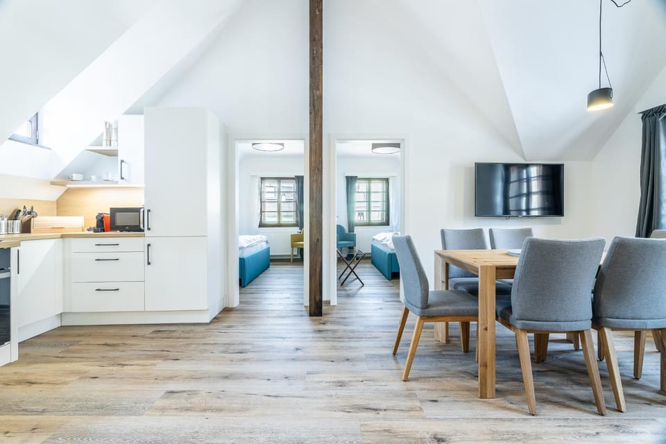 TV and multimedia, Kitchen or kitchenette, Living room, Seating area, Dining area, minibar, pet friendly, stove