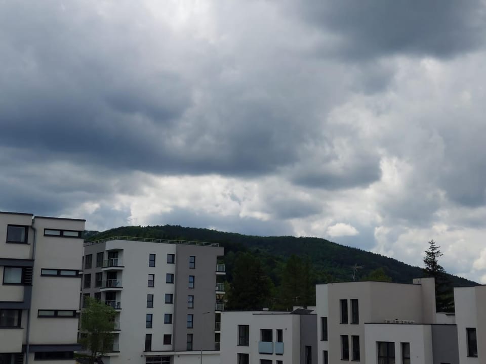 Neighbourhood, Mountain view