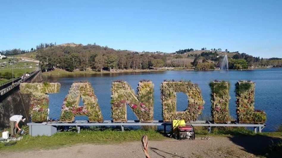 Lake view