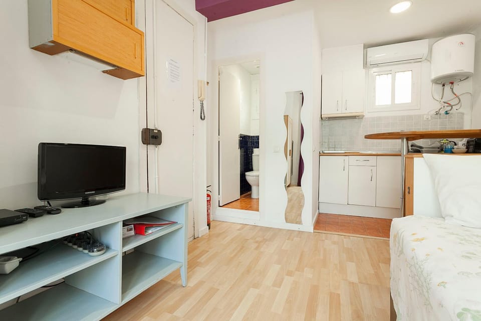 SAGRADA FAMILIA APARTAMENT Apartment in Barcelona
