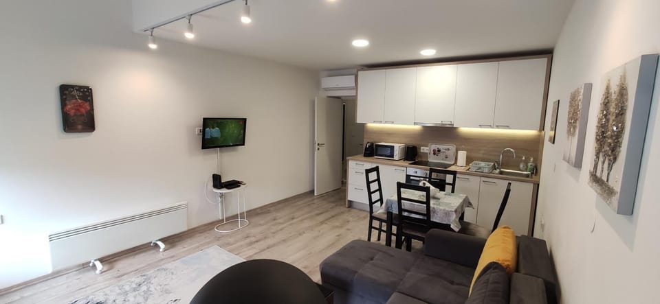 Coffee/tea facilities, Kitchen or kitchenette, Living room, Seating area, Dining area, minibar