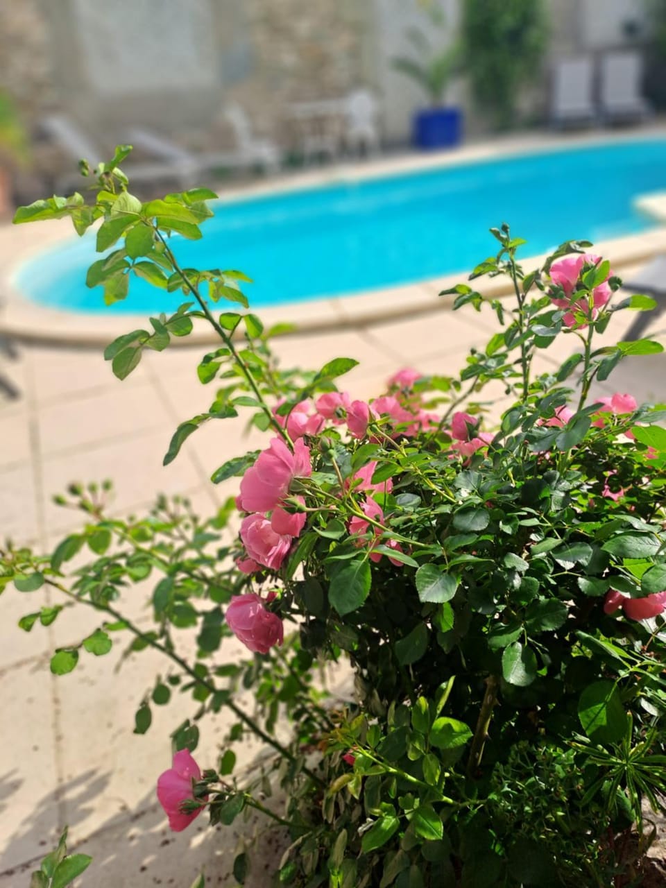 La maisonnette avec SPA, PISCINE et CLIMATISATION House in Occitanie