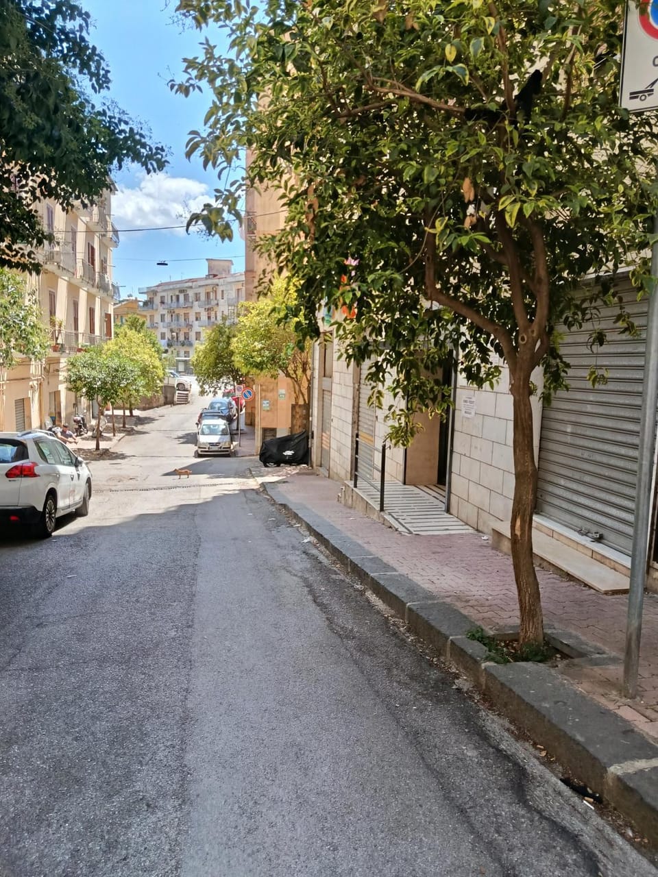 Neighbourhood, Street view