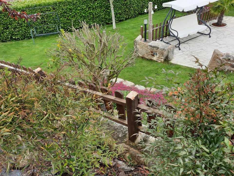 Natural landscape, Garden, Garden view