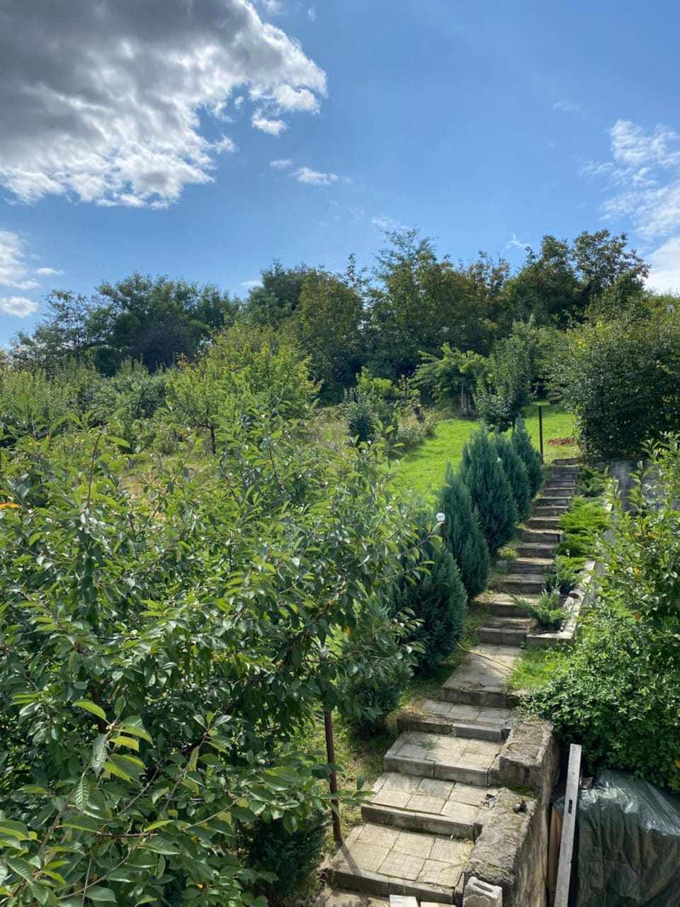Garden, Garden view