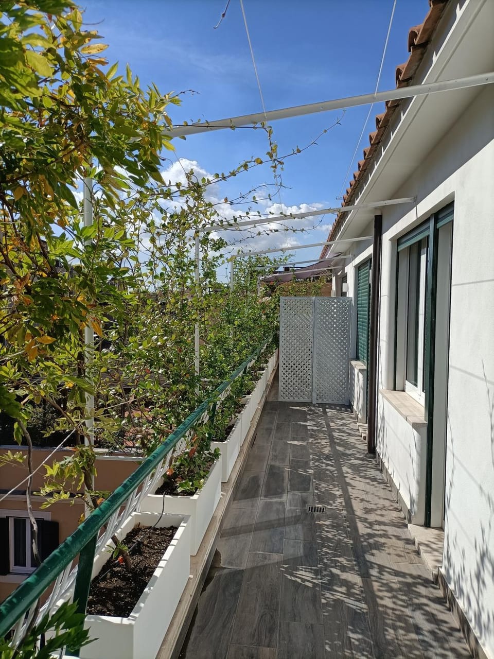 View (from property/room), Balcony/Terrace