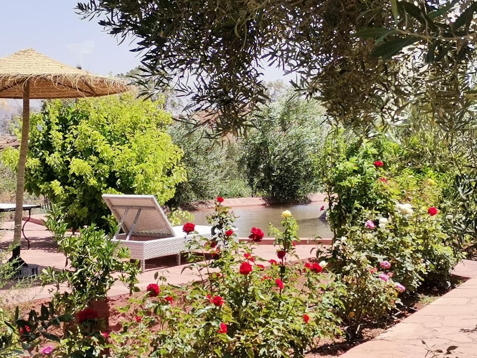 Patio, Spring, Day, Natural landscape, Garden, Garden view, Swimming pool, sunbed